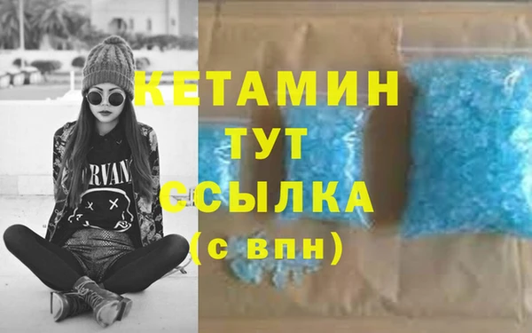 дмт Богданович
