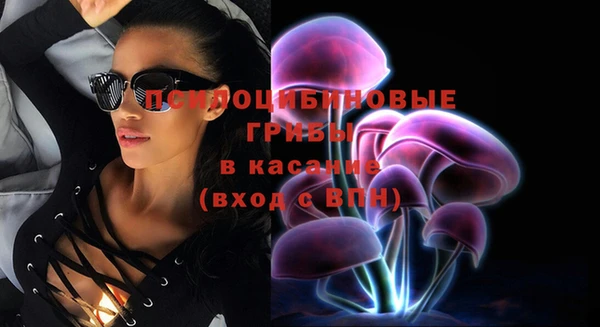 круглые Богородицк