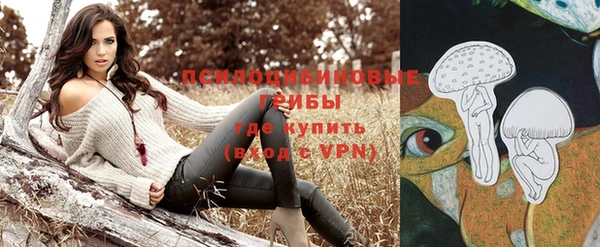 круглые Богородицк