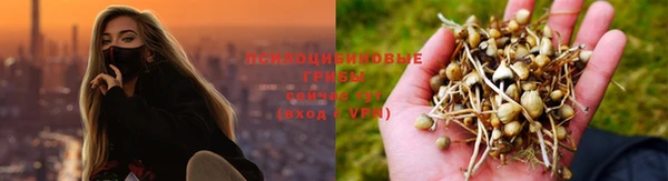 MESCALINE Богородск