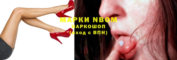 дмт Богданович