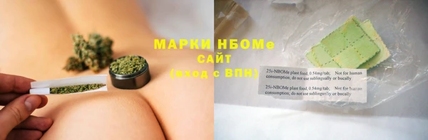 дмт Богданович