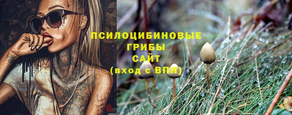 MESCALINE Богородск