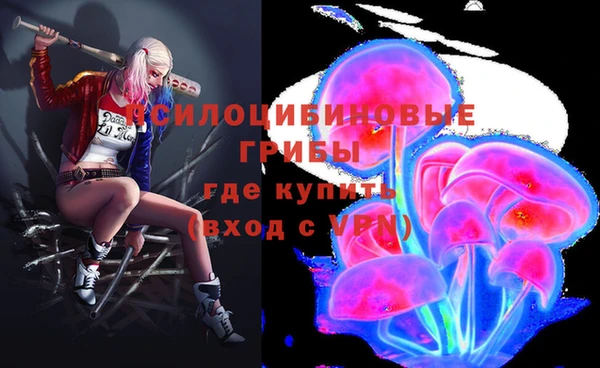 дмт Богданович