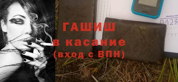 дмт Богданович