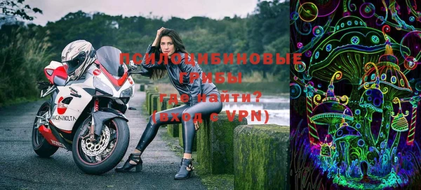 дмт Богданович