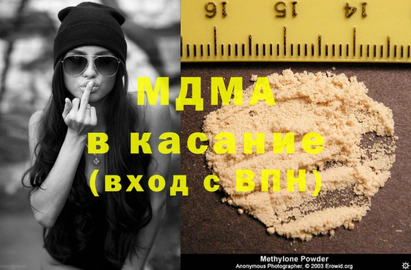 дмт Богданович