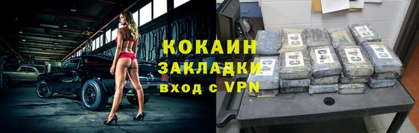 дмт Богданович