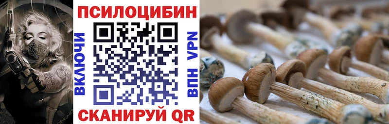 Галлюциногенные грибы Magic Shrooms  ОМГ ОМГ как войти  Нерюнгри 